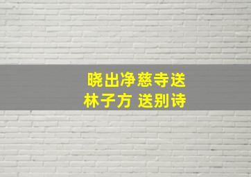 晓出净慈寺送林子方 送别诗